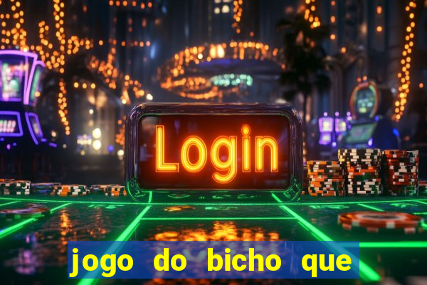 jogo do bicho que paga no pix